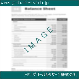 グローバルリサーチ調査資料のイメージ